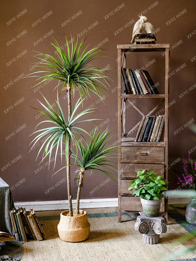 ضوء فاخر محاكاة النباتات الخضر - مراجعة Dracaena Marginata وسعره