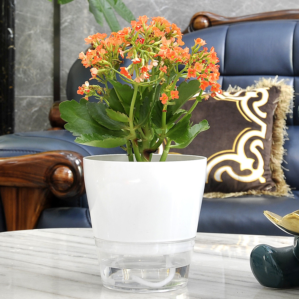 زهرة كسولة مع فتحة تصريف وعاء  - مراجعة Aloe Vera Pot وسعره