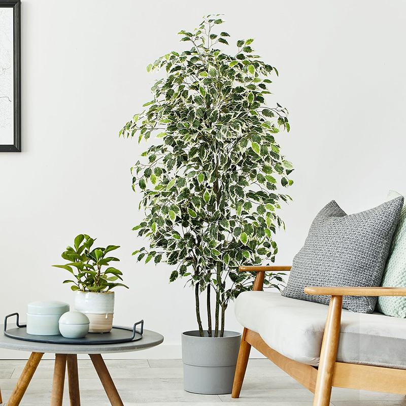 شجرة اللبخ الاصطناعية مقاس 70  - مراجعة Ficus Lyrata Tree وسعره