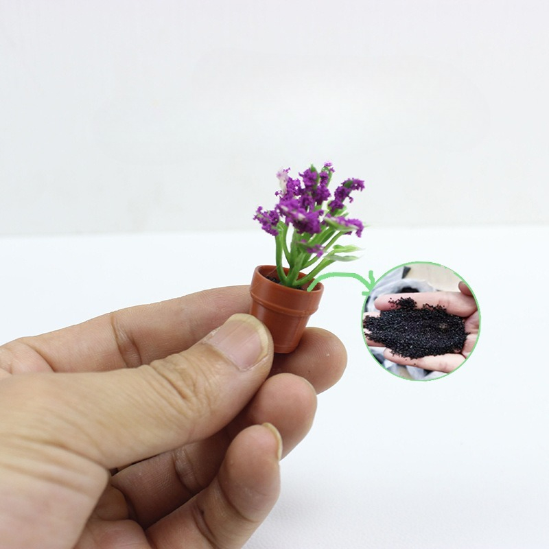 نباتات صغيرة مقلدة الصبار زهرة - مراجعة Echeveria Succulent وسعره