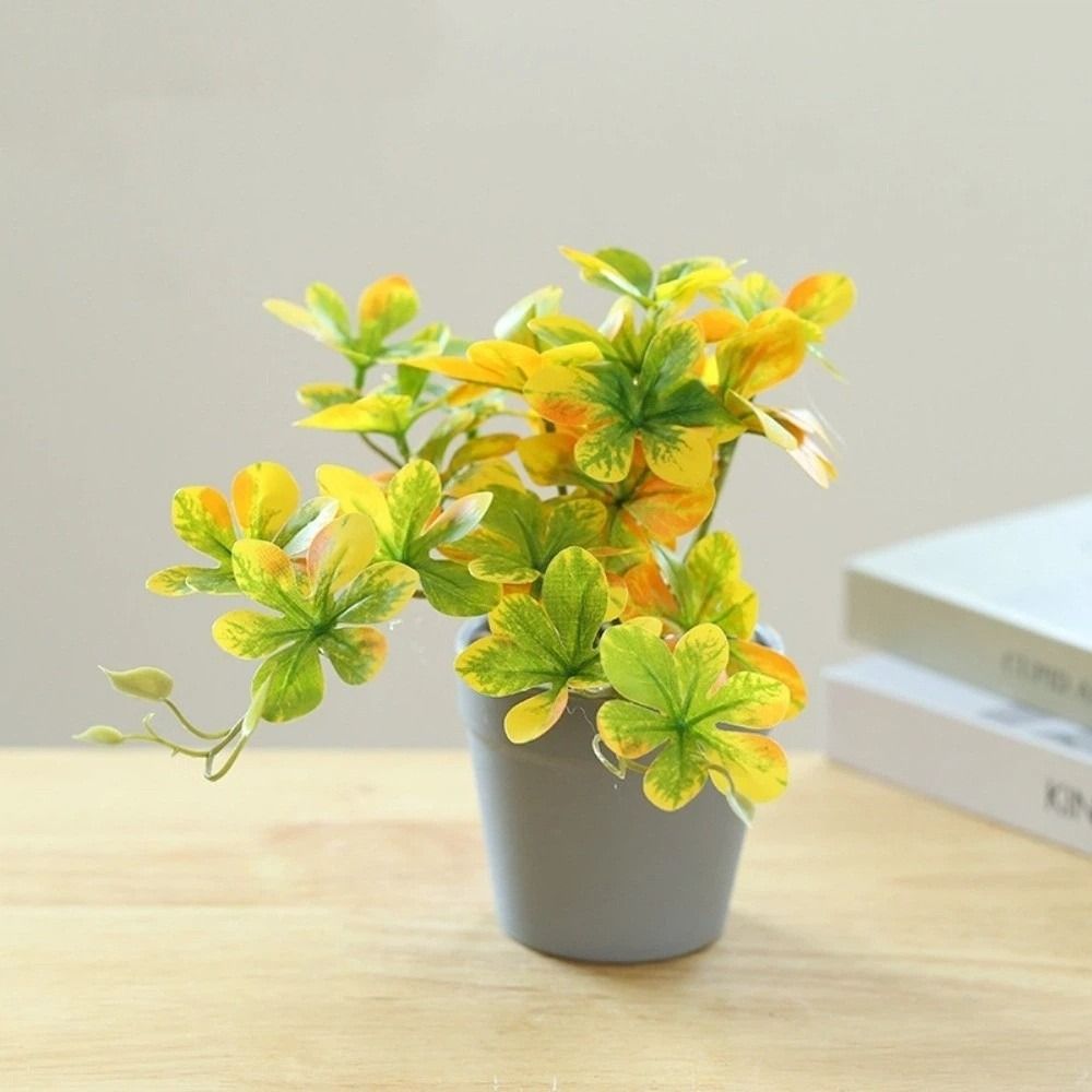 نبات بونساي اصطناعي، نبات عنكب - مراجعة Spider Plant Hanging وسعره
