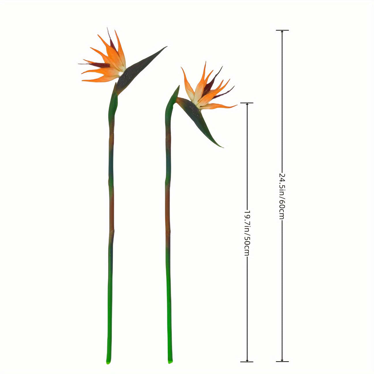 طائر اصطناعي من زهور الفردوس ، - مراجعة Bird Paradise Strelitzia وسعره