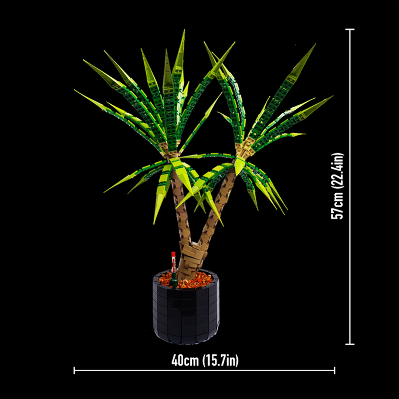 مجموعة مكعبات بناء إبداعية متق - مراجعة Dracaena Marginata وسعره