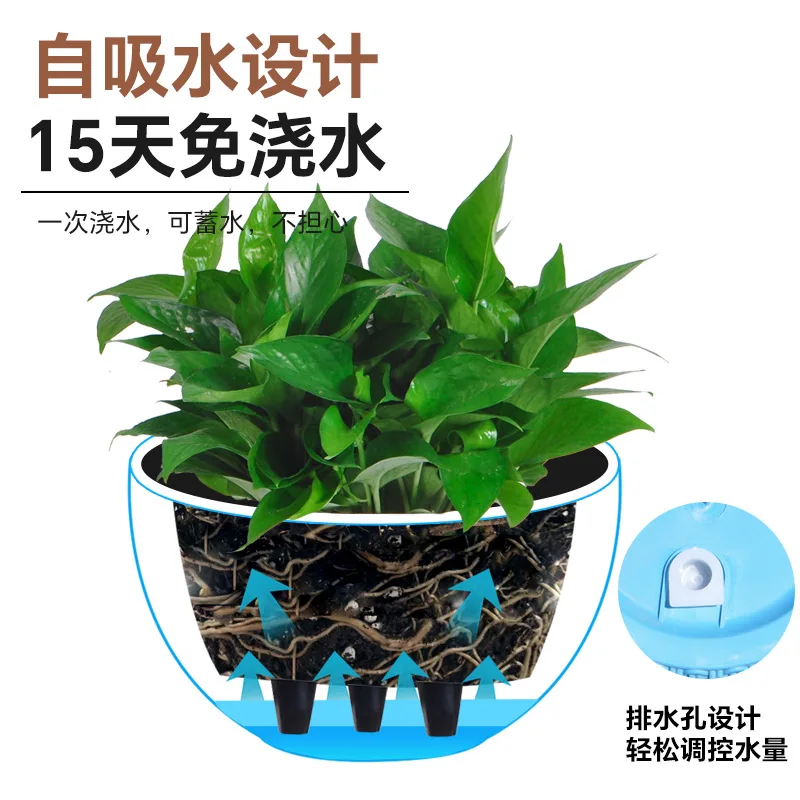 وعاء نباتات معلق جديد بتصميم ب - مراجعة Spider Plant Hanging وسعره
