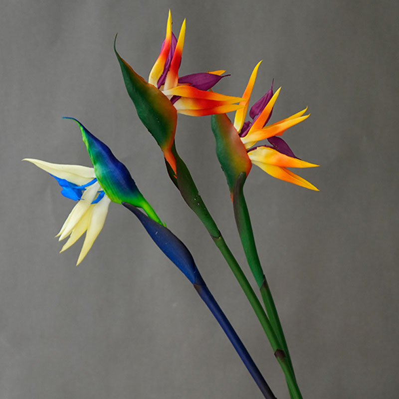 زهرة طائر الجنة الاصطناعية، نب - مراجعة Bird Paradise Strelitzia وسعره