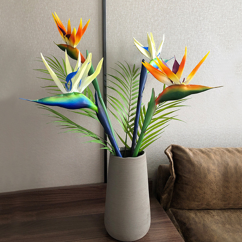 3 قطع من زهور طائر الجنة الاصط - مراجعة Bird Paradise Strelitzia وسعره