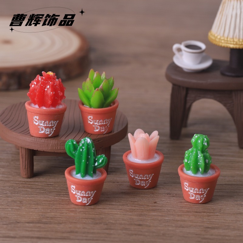 5 قطع محاكاة نباتات عصارية بوع - مراجعة Echeveria Succulent وسعره