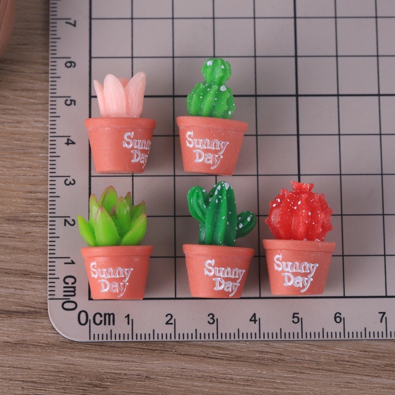 5 قطع محاكاة نباتات عصارية بوع - مراجعة Echeveria Succulent وسعره