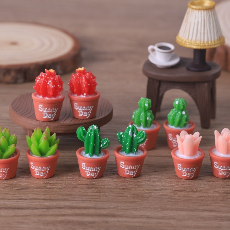 5 قطع محاكاة نباتات عصارية بوع - مراجعة Echeveria Succulent وسعره
